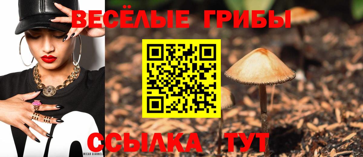 Галлюциногенные грибы прущие грибы Калуга