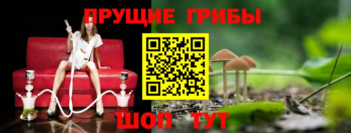 Псилоцибиновые грибы мухоморы  Вход с VPN  Калуга 